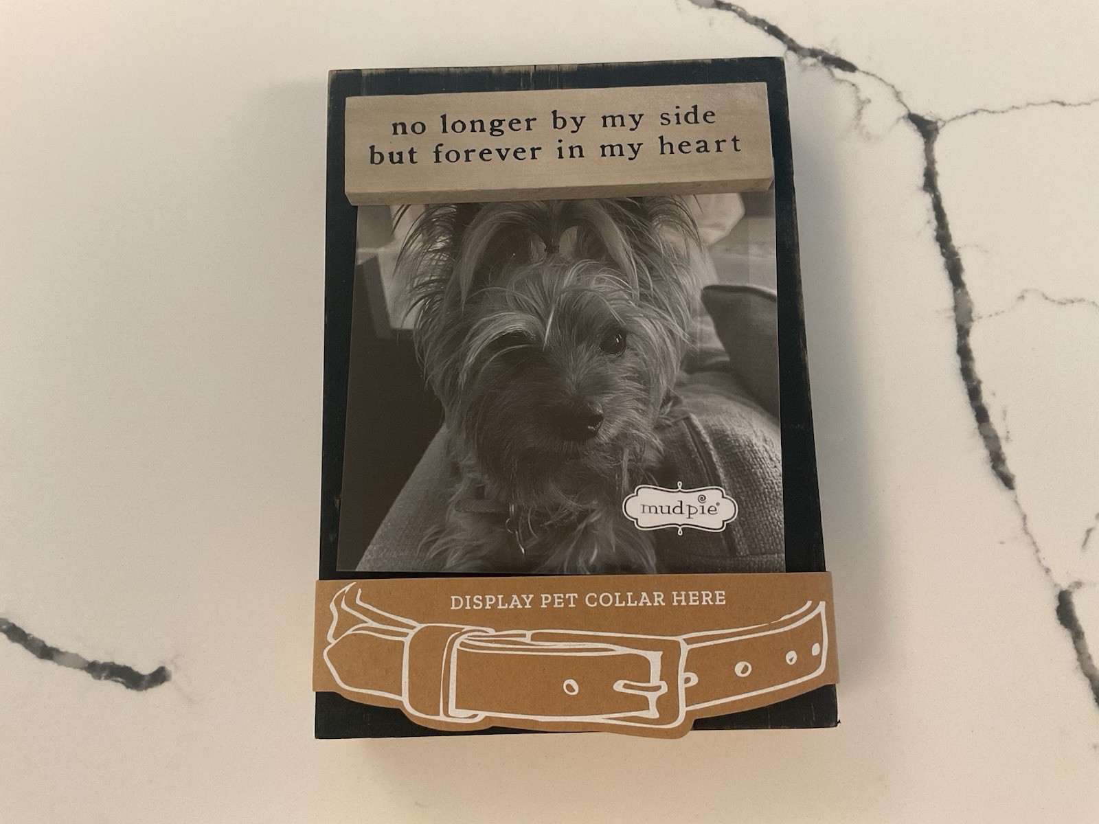 Mud Pie Black Collar Keepsake Frame Dog Pet Memorial Plaque Displays Collar