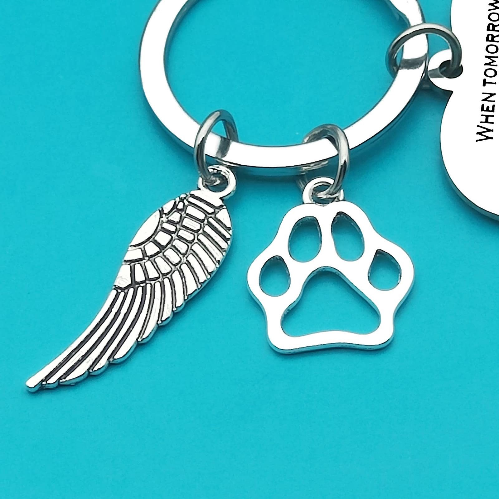 Xiahuyu Pet Memorial Keychain Pet Loss Gifts Loss of Dog or Cat Memorial Gift…
