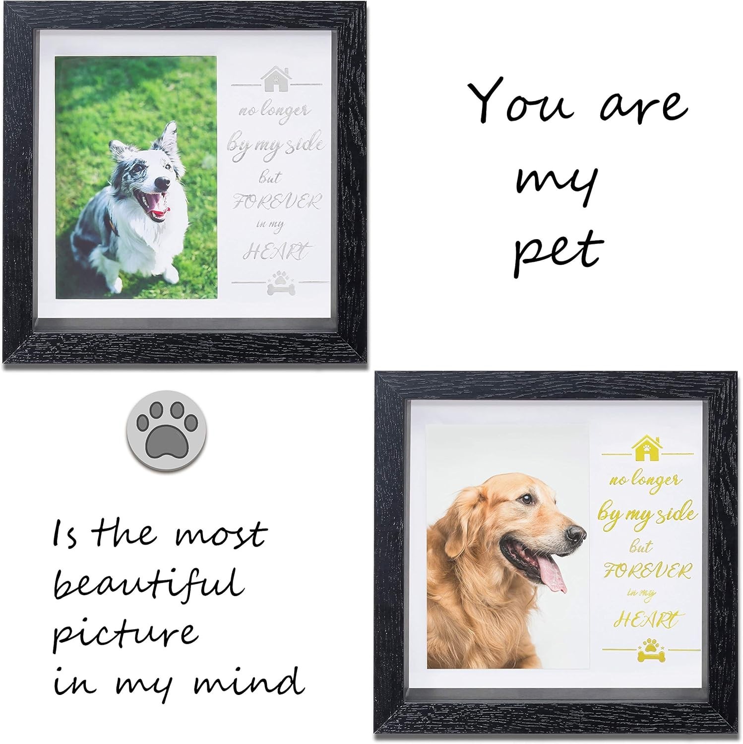 Durable Pet Collar Keepsake Frame – 9-Inch Memorial Tribute for Beloved Pets