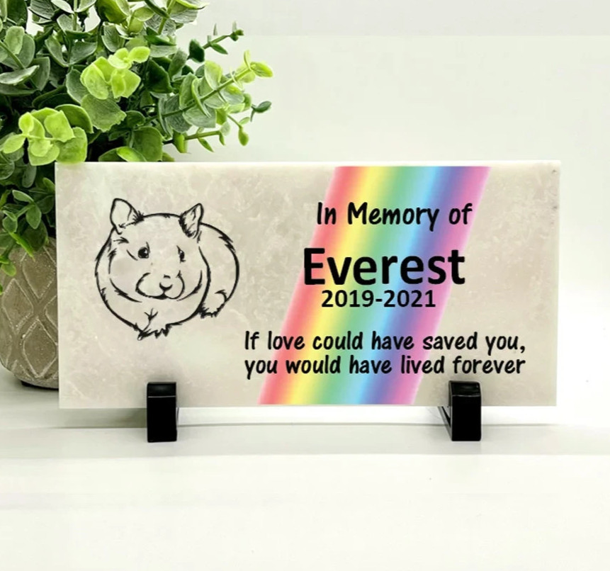 Guinea Pig Rainbow Memorial – Personalized Pet Memorial Stone – Pet Loss Gift