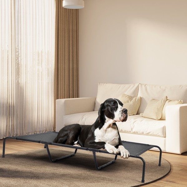 Pet Beds