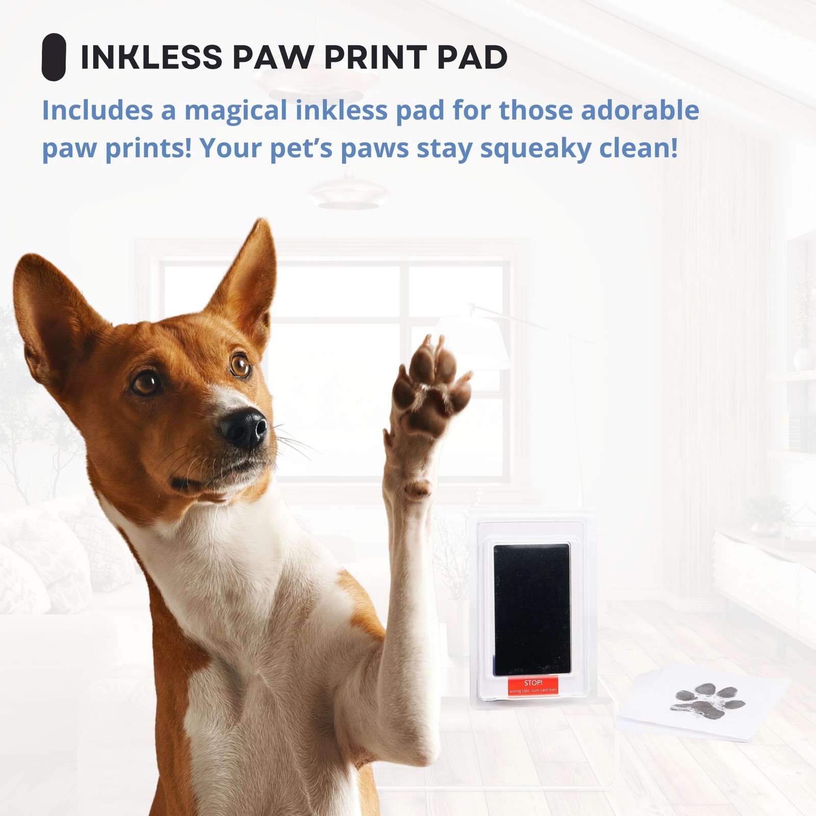 Large Dog Urn for Ashes, 4 Customizable Displays with Paw Print Ink Kit, 8.5x…