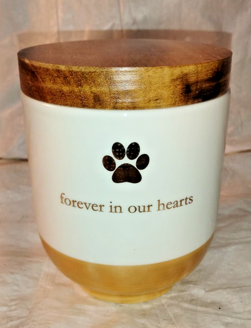 Pearhead Ceramic “Forever in Our Hearts” Pet Memorial Urn Elegant Keepsake Jar