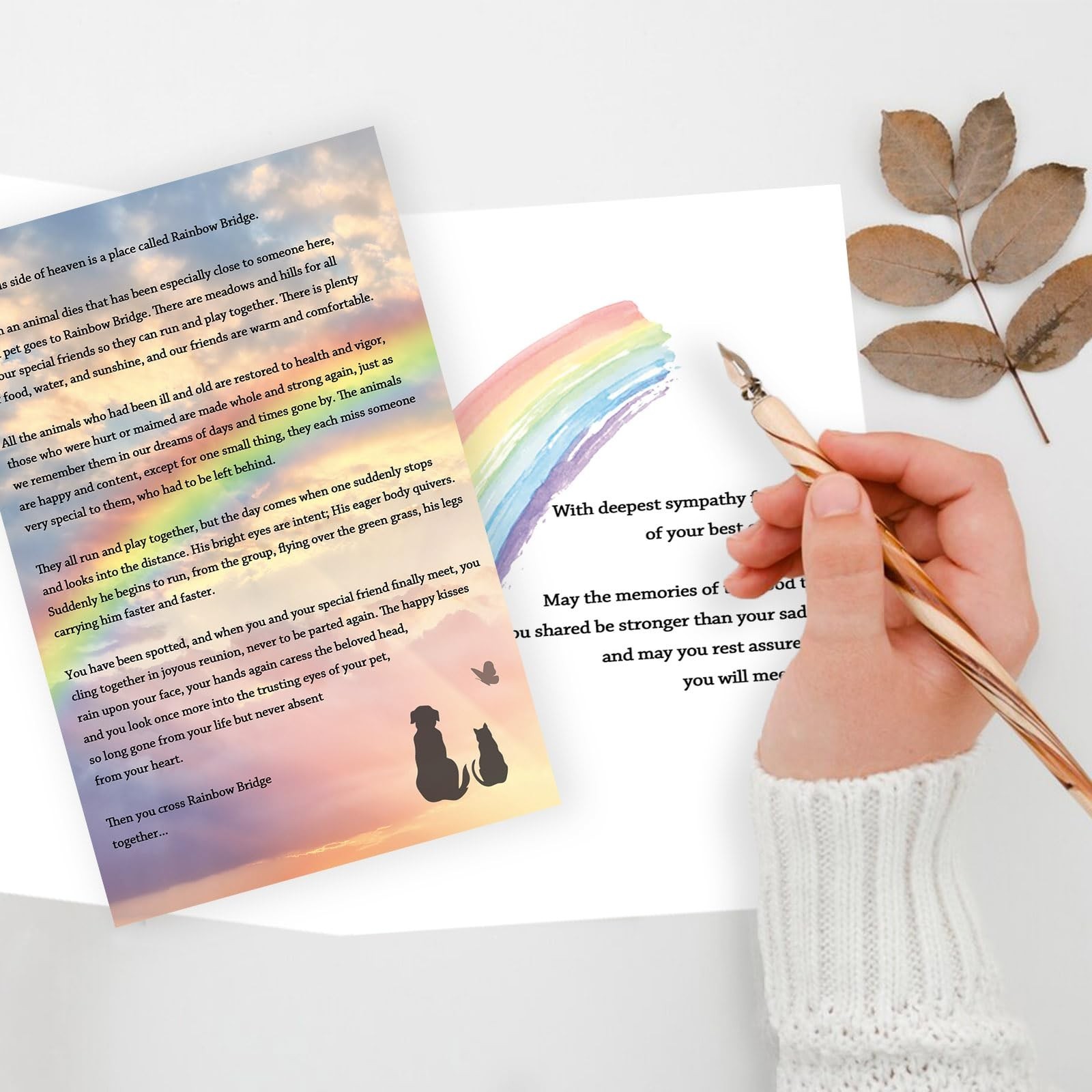 ICOOLYI Rainbow Bridge Pet Sympathy Card – Heartfelt Memorial Card for Dog