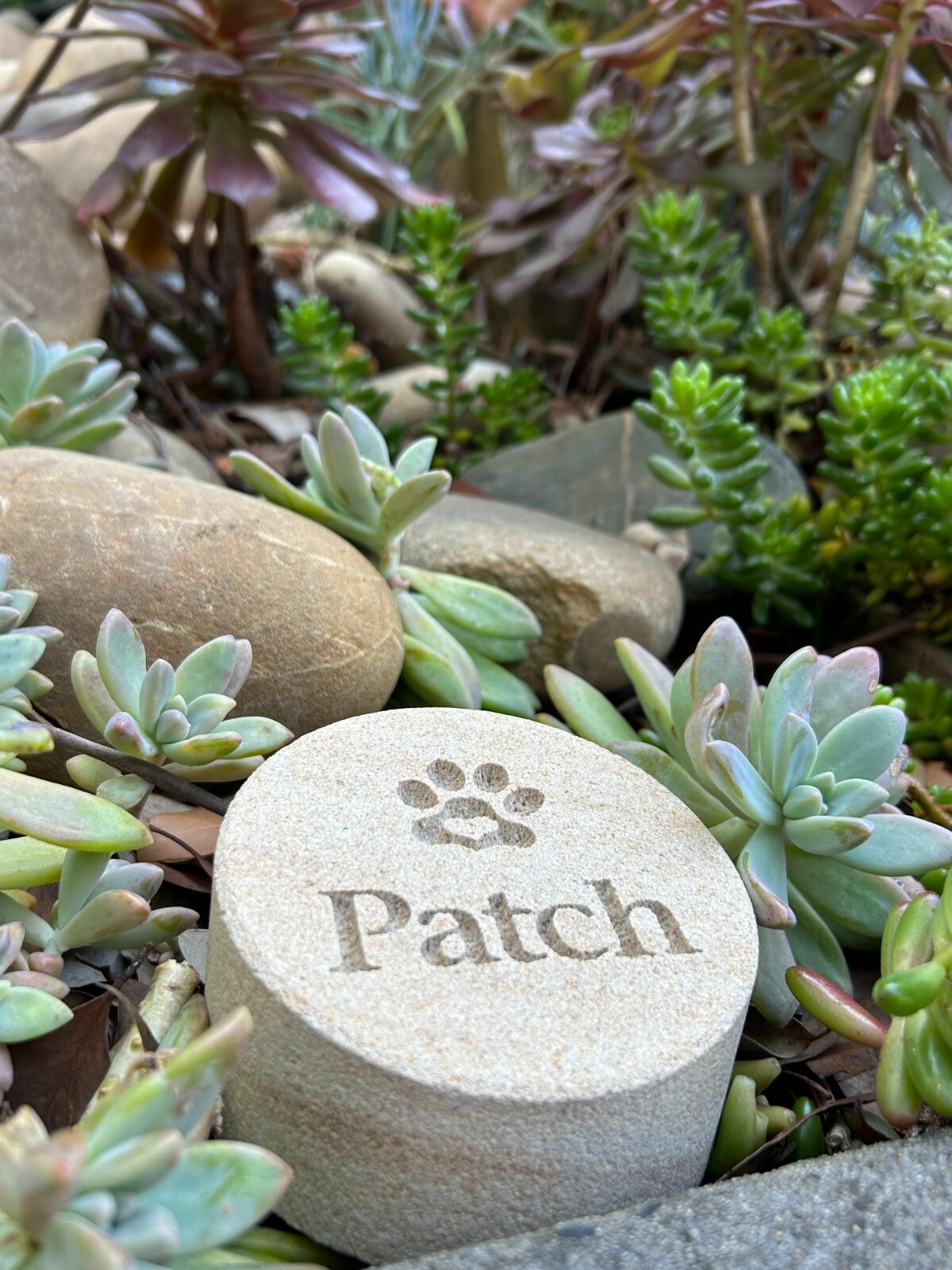 Memorial Keepsake for Pets Personalised Sand stone