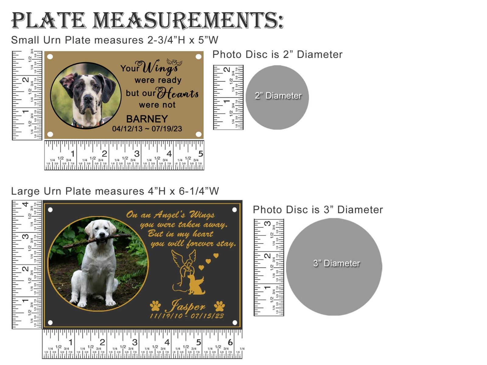 Custom Pet Urn, Engraved Photo Plate, Large or Small Pet Urn, Picture Pet Urn