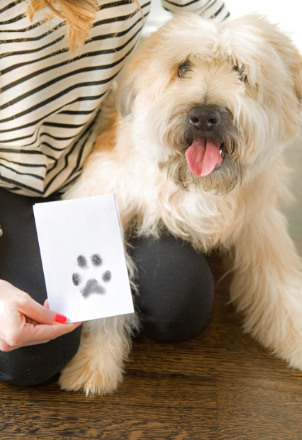 Clean Touch Ink Pad Paw Print Kit for Small/Medium Dogs & Cats DIY Keepsake