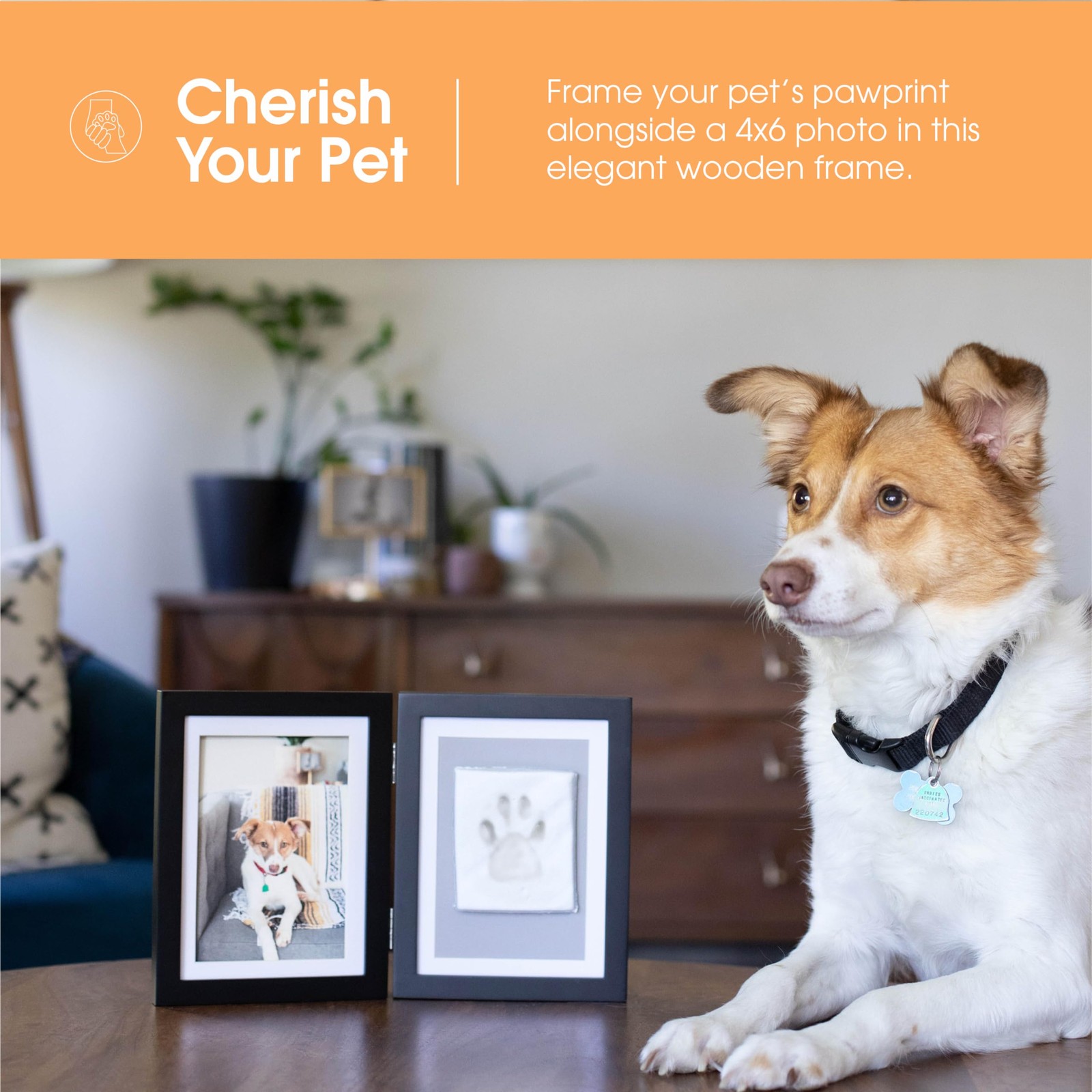 Pearhead Pet Paw Print Photo Frame With One Size, Black Pawprint Desk