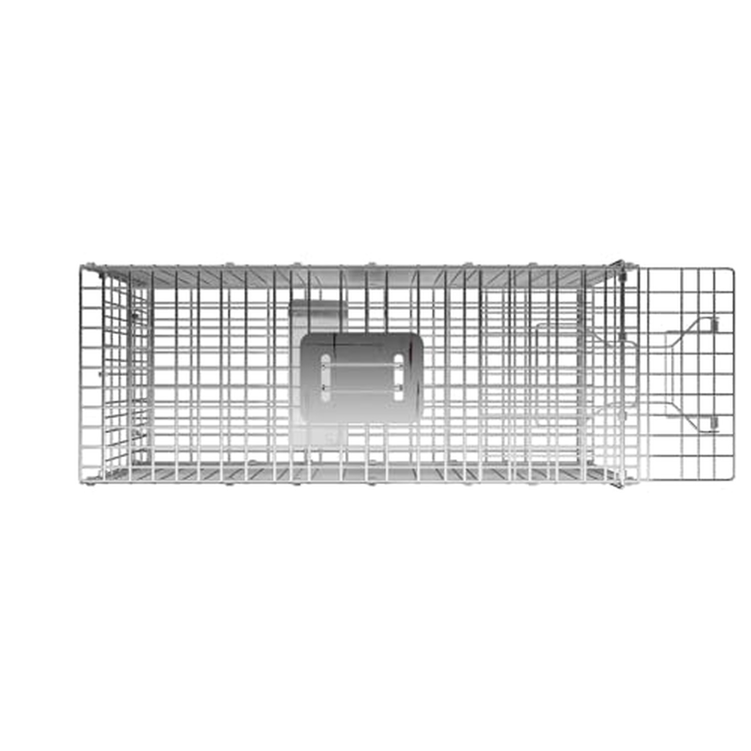 Live Animal Cage Trap, 31″ x 11″ x 12″ Heavy Duty Folding Raccoon Traps, Huma…