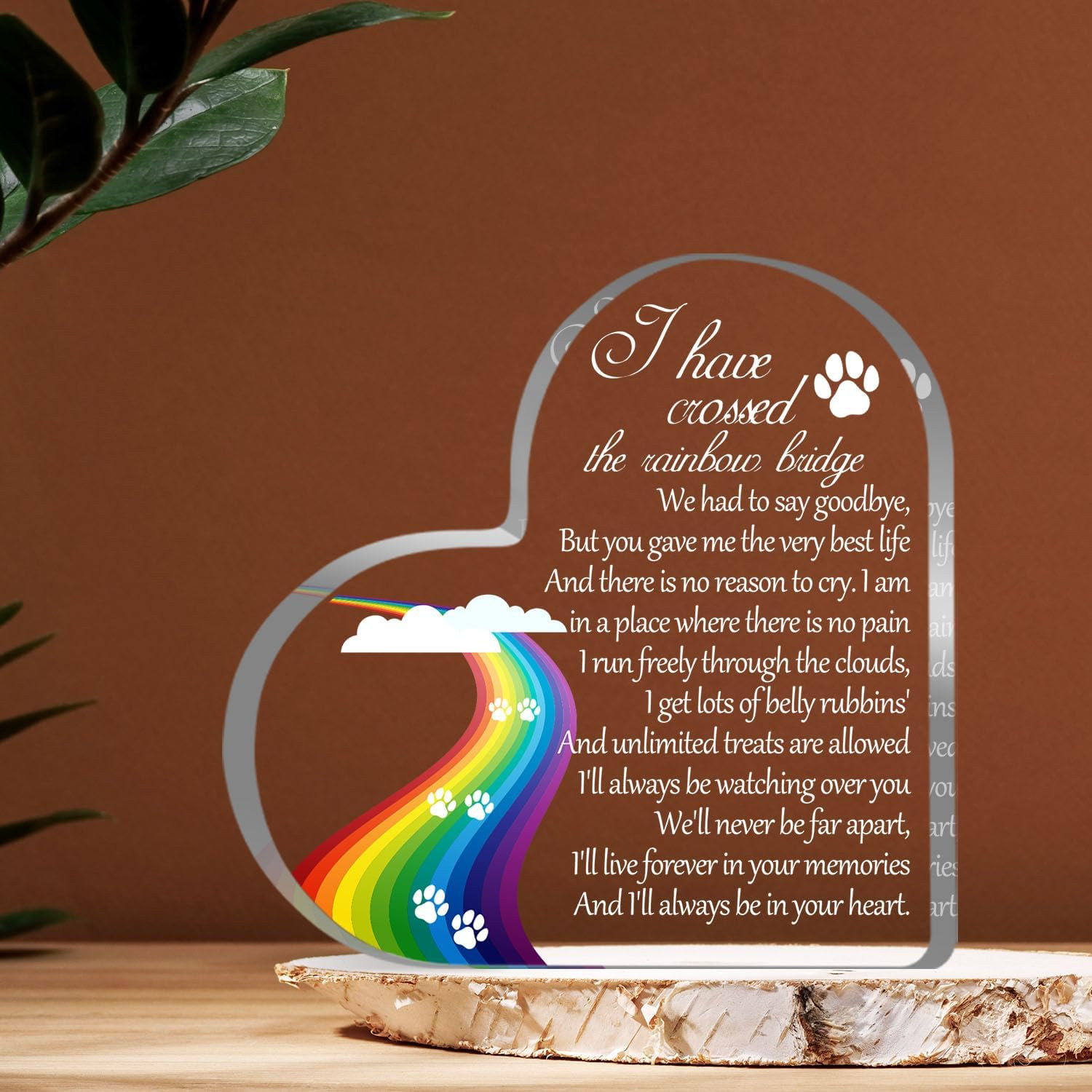 Pet Memorial Gifts, Sympathy Gift for Loss of Dog Cat, Pet Memorial Acrylic Rain