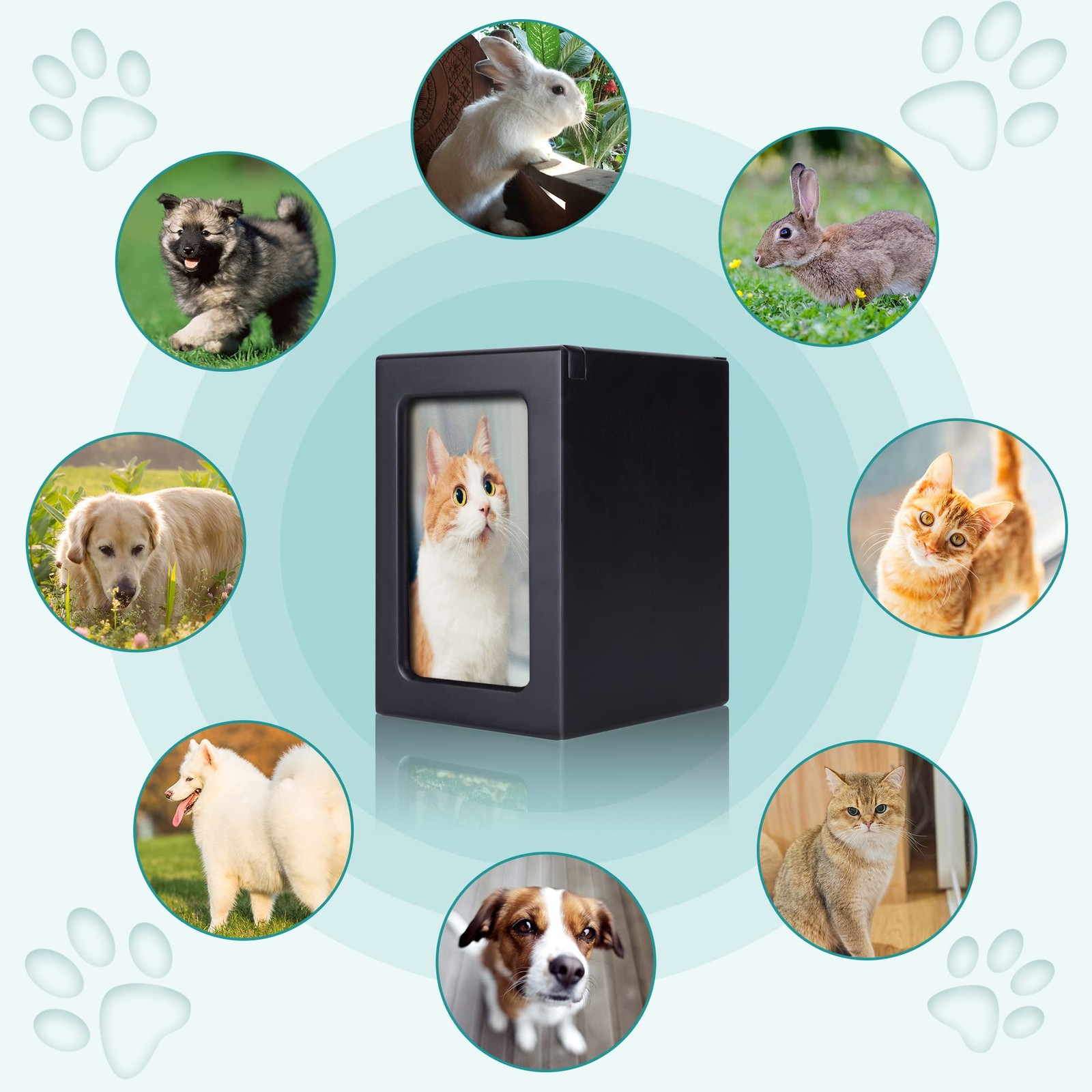 Cuodia:Pet Cremation Box with Photo Frame,Cat urns for Ashes,Pet Urns, Cat Cr…