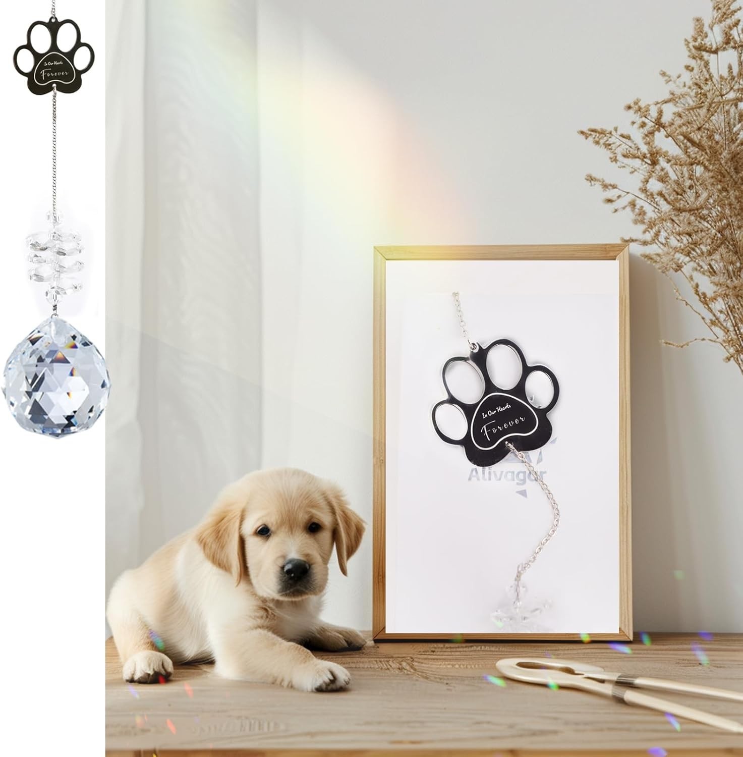 Dog Memorial Gifts, Paw Print Sun Catcher Dogs Cats Pet Remembrance Crystal Ball