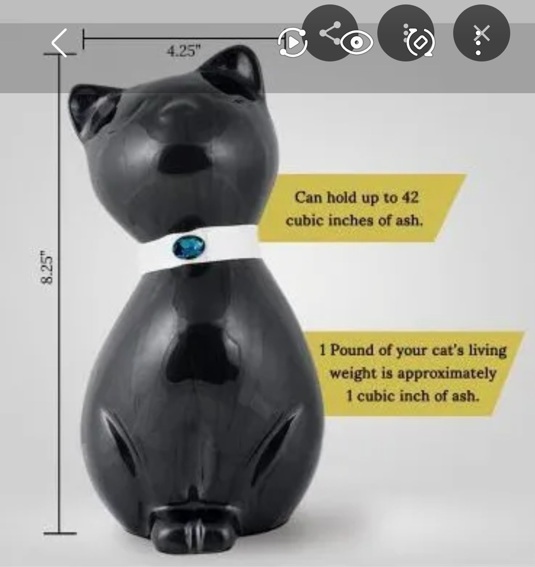Bronze Cat Urn For Pet Ashes Hand Applied Resin Over Metal Cat Statue