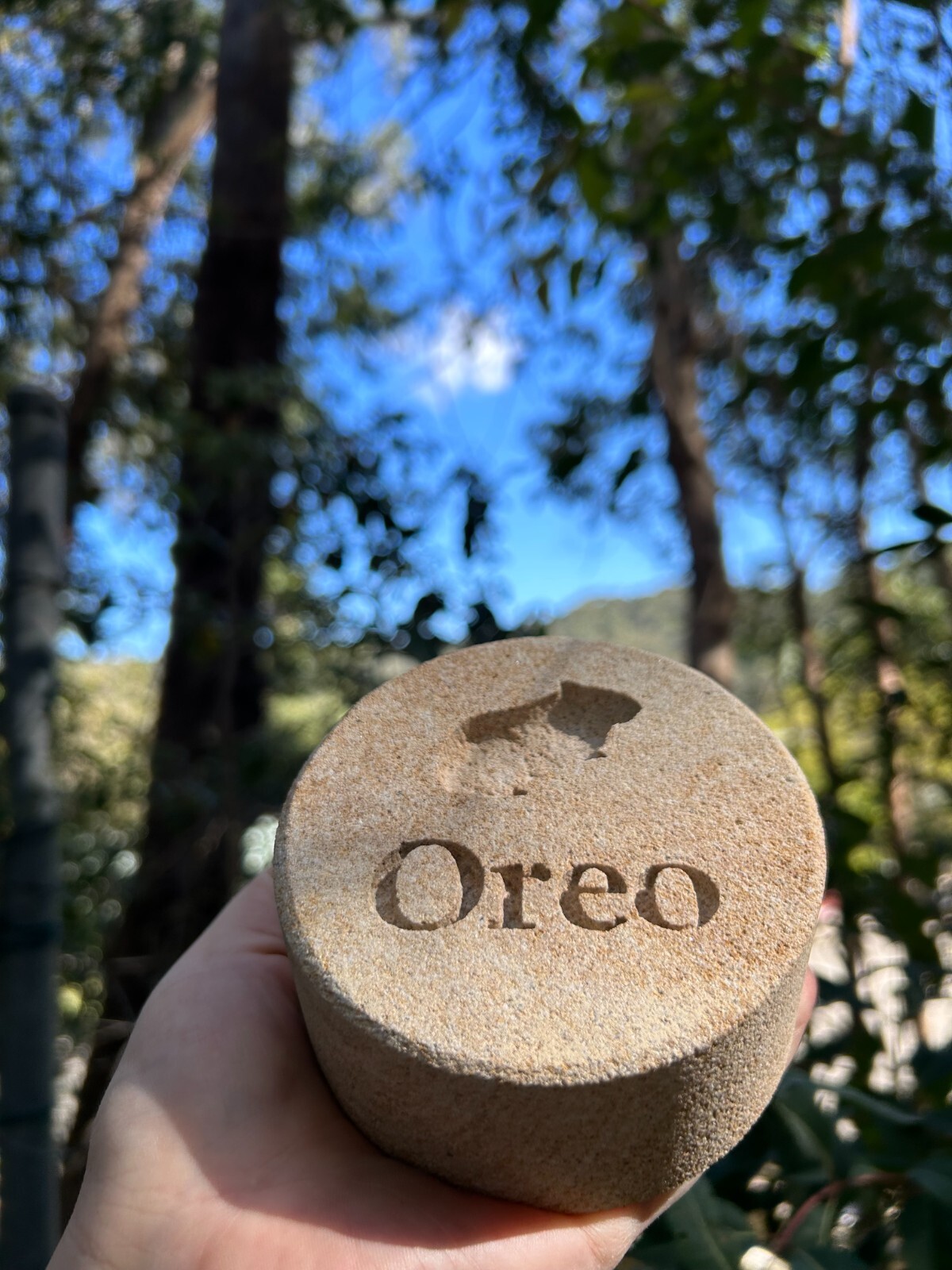 Memorial Guinea Pig Keepsake – Sandstone – Personalised
