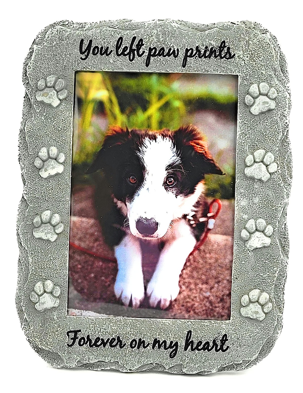 Pet Memorial Picture Frame Keepsake for Dog or Cat Loss Gift