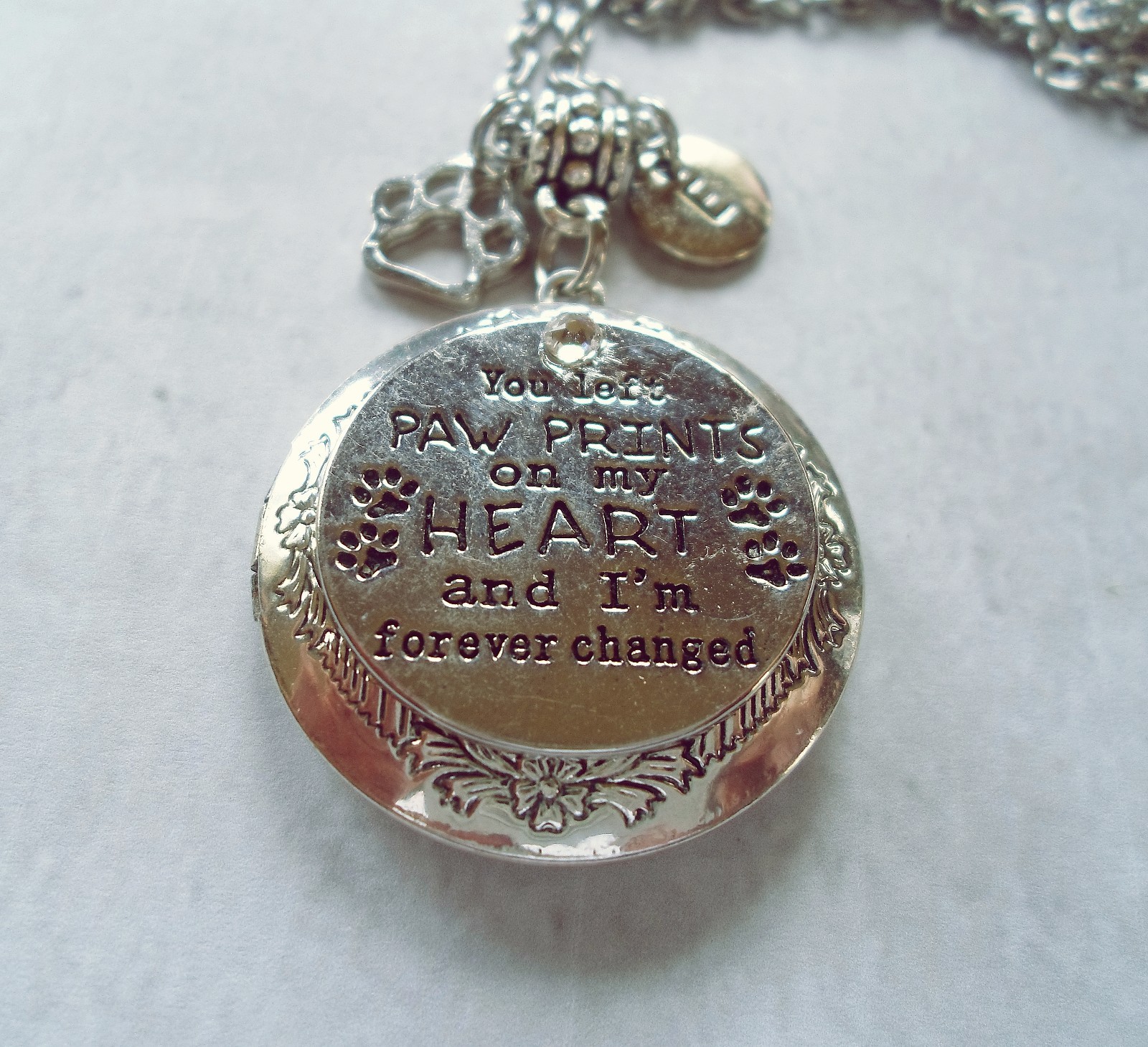 You Left Paw Prints on My Heart Pet Memorial Locket with Your Photo, Cat, Dog