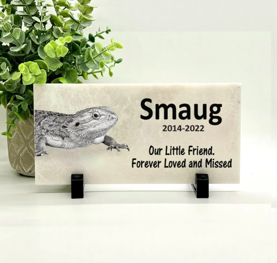 Iguana Memorial – Personalized Pet Memorial Stone – Iguana Loss sympathy Gift