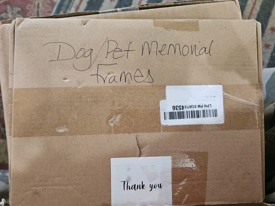 My Pawlets, Dog Memorial, Paw Print, Picture Frame, Ink Pads, Cat Memorial 🐈