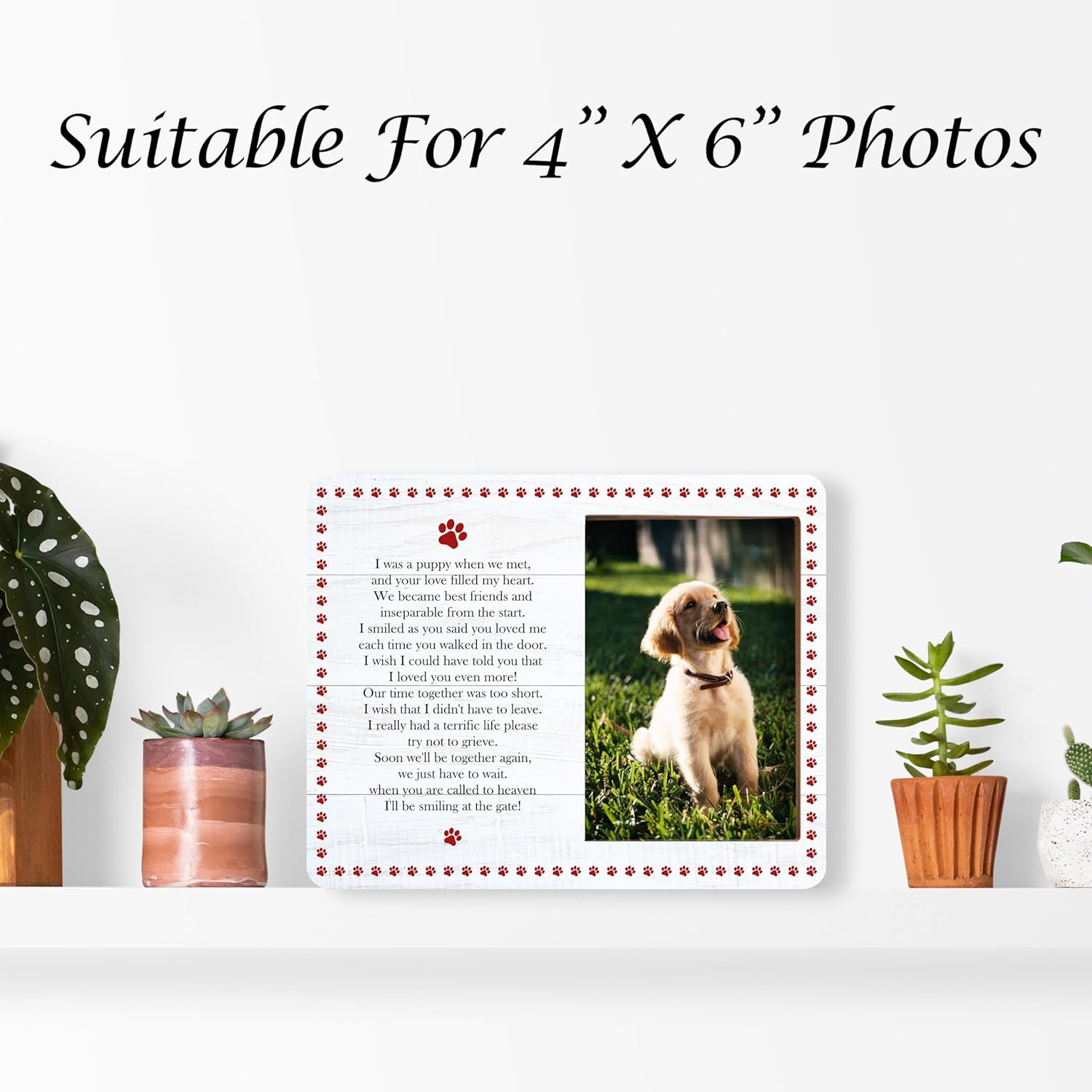 Pet Memorial Picture Frame, Remembrance Photo Frame for Dogs & Cats, Sympathy Gi