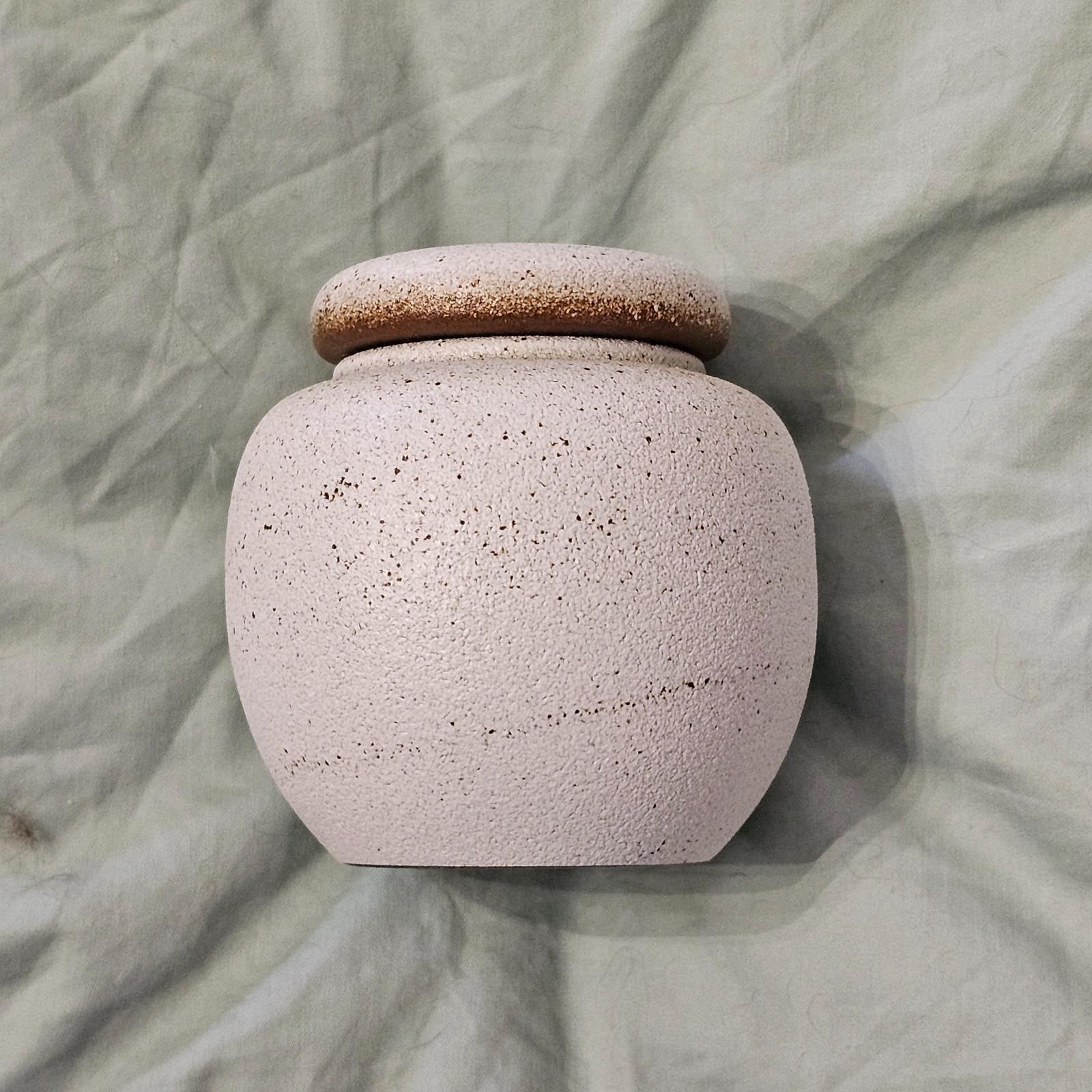 Small Pet Urn Memorial Cremation Ceramic Paw Print Cat Dog 9 Cubic Inch Capacity