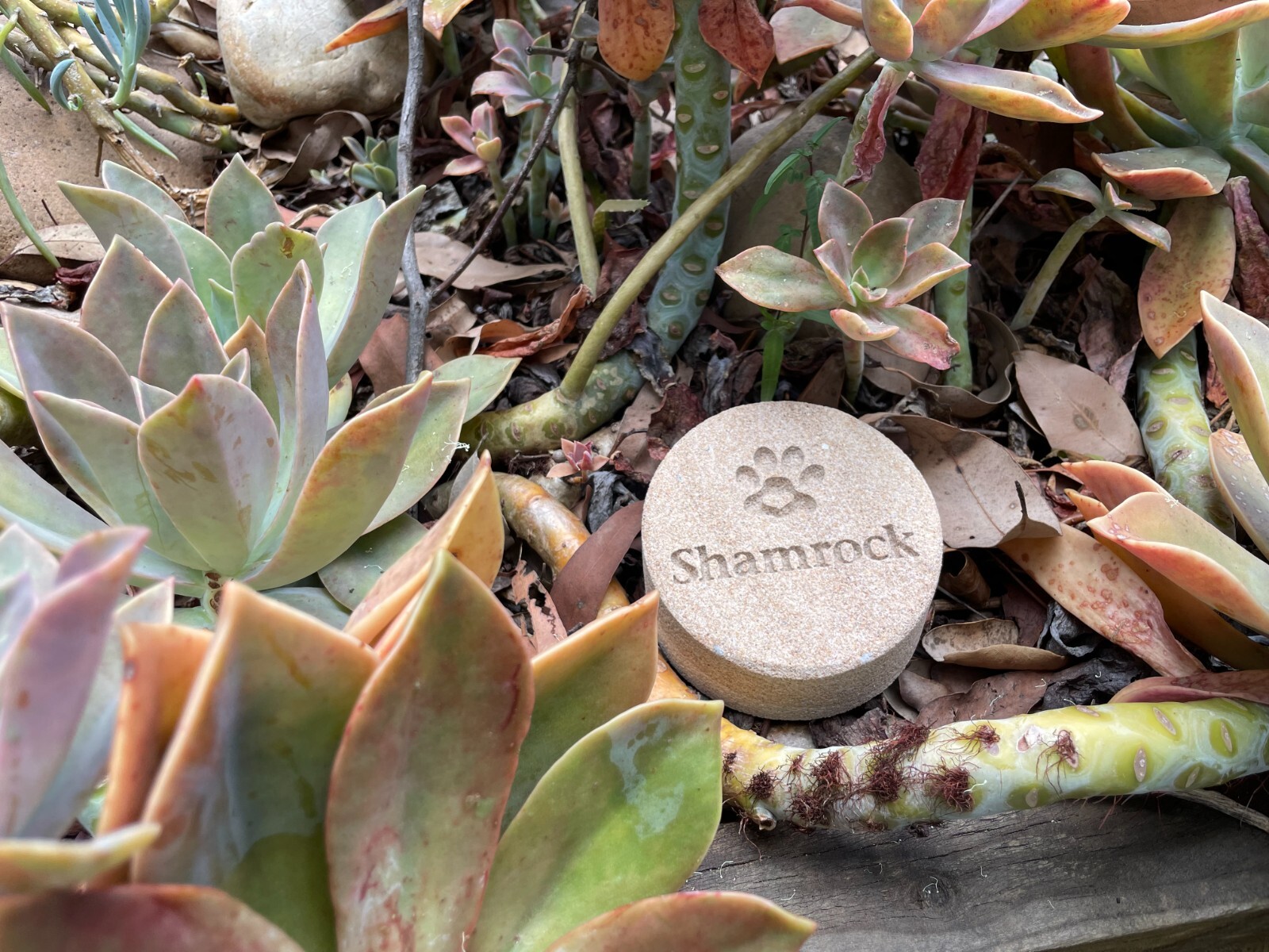 Memorial Keepsake for Pets Personalised Sand stone
