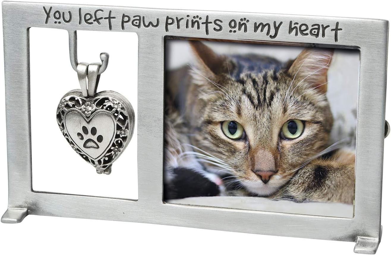 Paw Prints on My Heart Pet Memorial Frame with Ash Vial for Keepsakes Silver