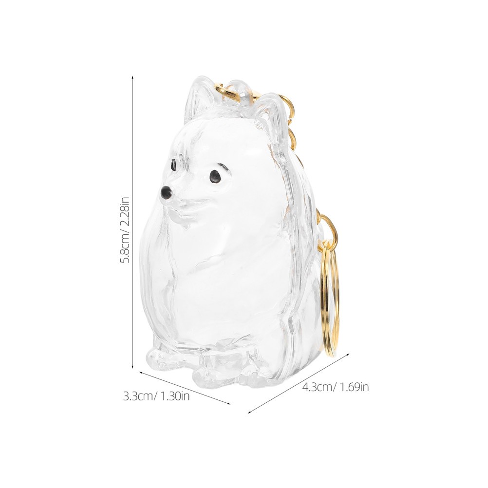 2Pcs Clear Dog Hair Keepsake Boxes Portable Pet Memorial Keychains for Home Use