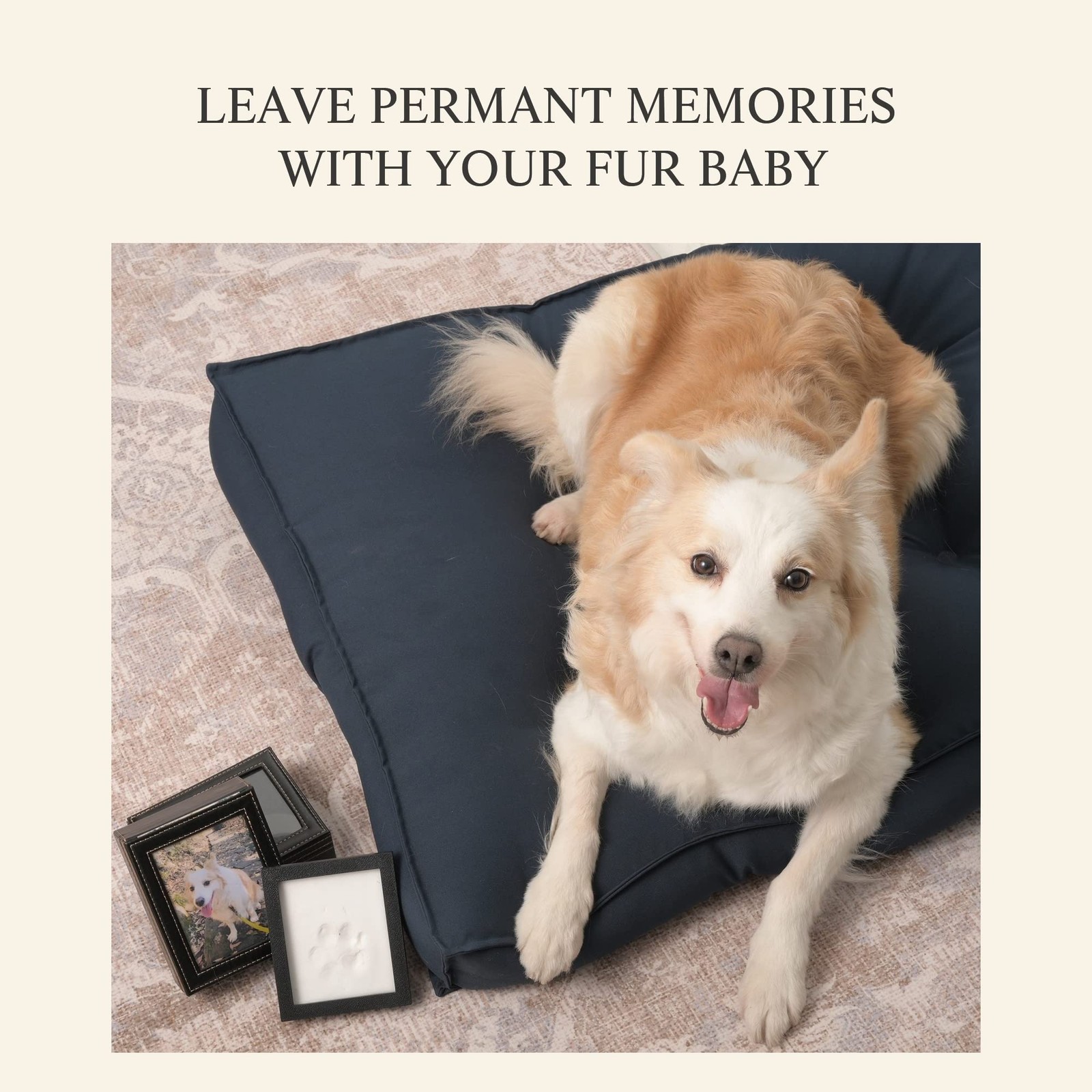 PCS Paw Print Kit – Keep Your Pet’s Memory with Paw Print Mold – Available fo…