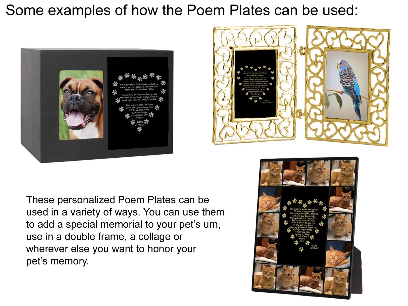 Engraved Pet Name Plate, Memorial Poem Plate, Many Poem Choices, Dog, Cat, Any