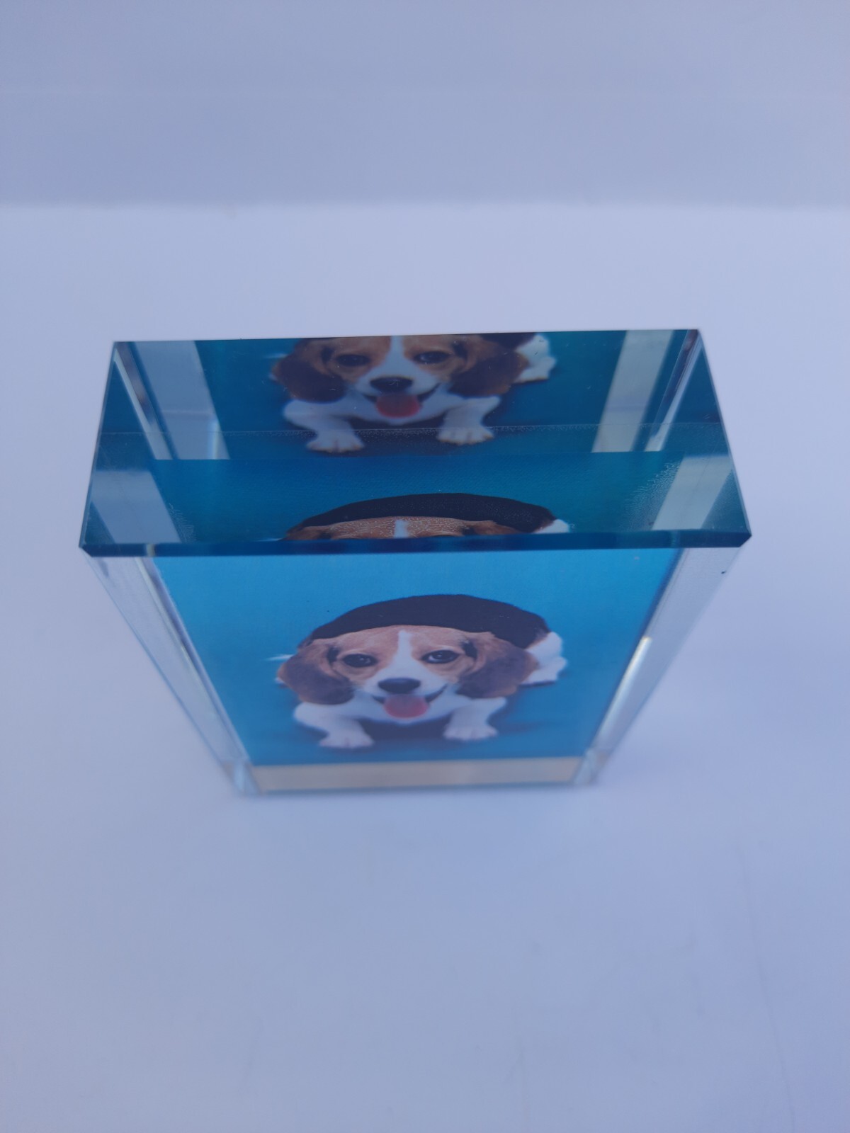 crystal,Personalized Sympathy Tribute Gift Customized For Lost of a Dog