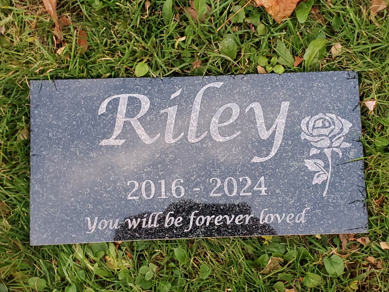 6×12 Pet memorial grave head stone marker cat dog chicken rabbit loss gift t6-2