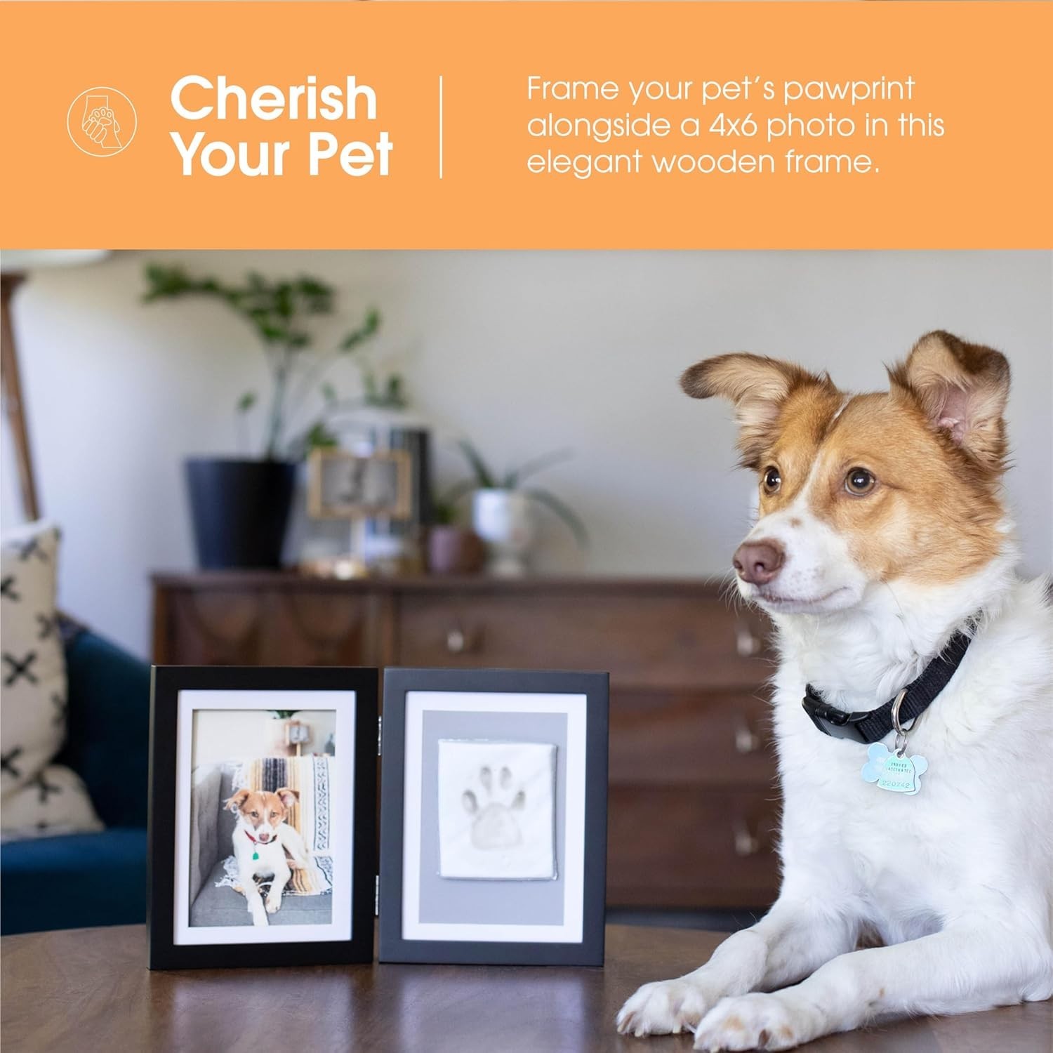 Pet Paw Print Photo Frame With Clay Imprint Kit – Wooden Pet Paw Print Frame,…