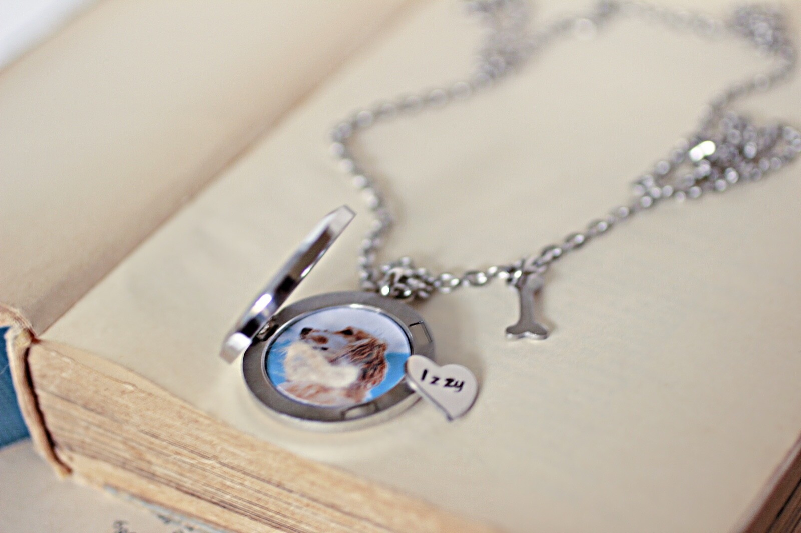Dog Loss Keepsake for Fur or Ashes, Pet Hair Memorial Locket, Dog Hair Memorial