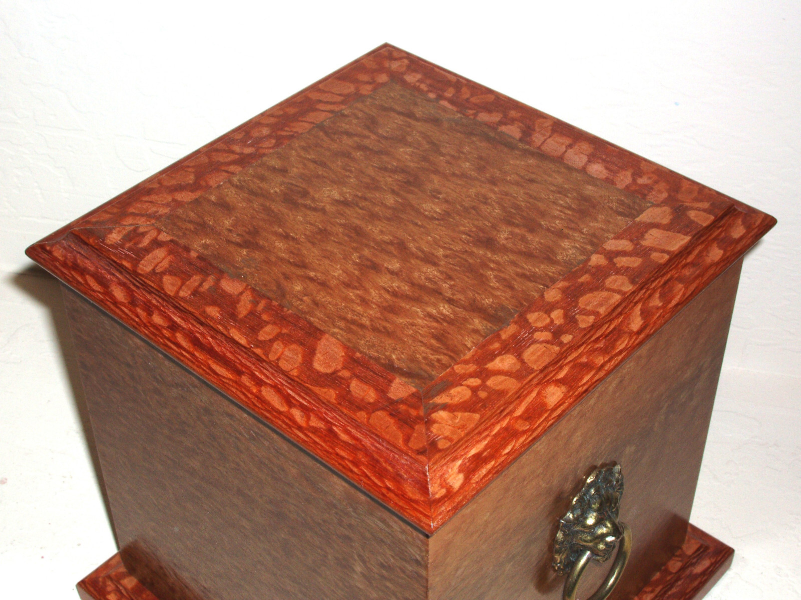 Exotic Eucalyptus Burl Wood Classic Cat Dog Pet Cremation Urn 180 lb Large