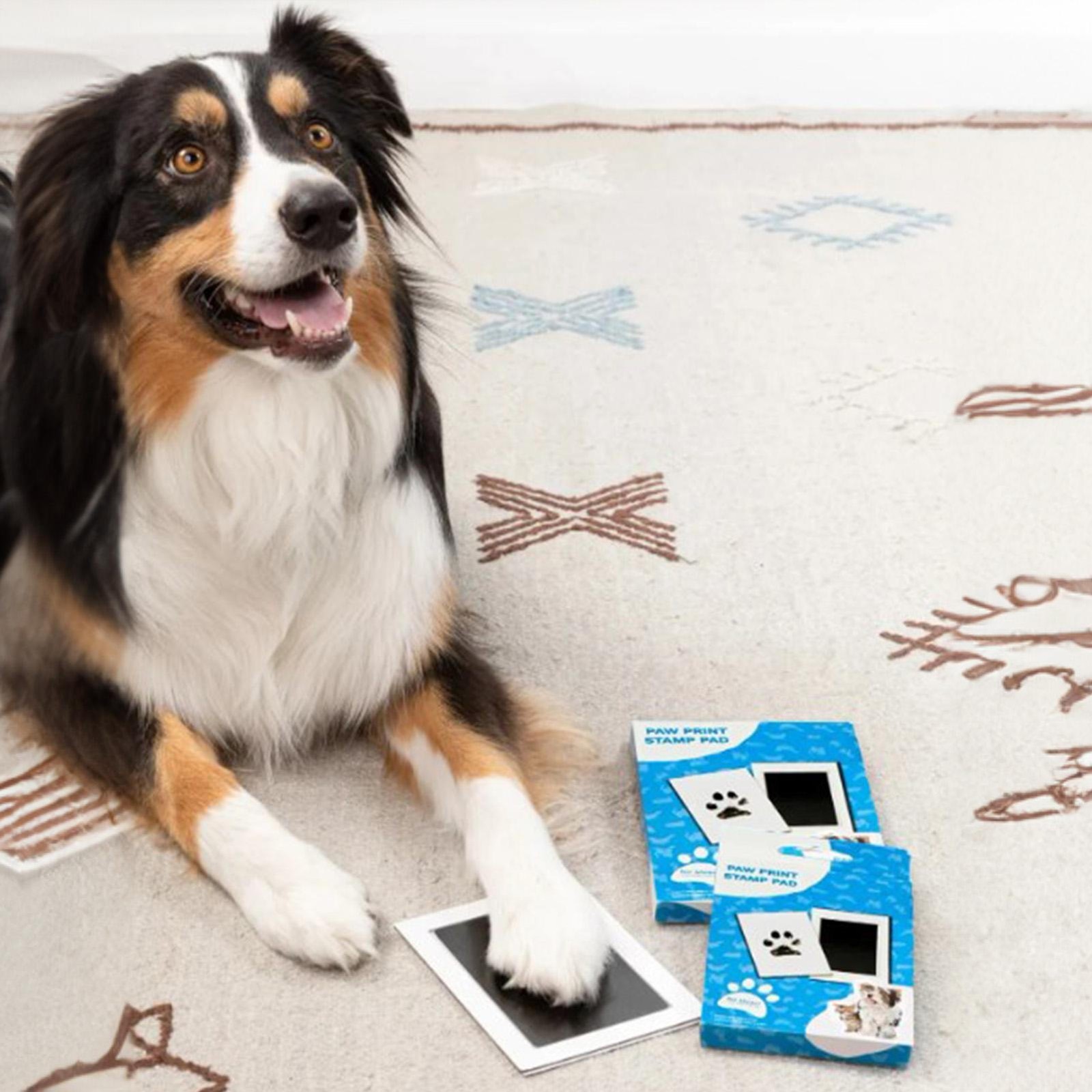 Pet Paw Print Kit – Paw Print Pad – Non Toxic Ink Pad for Pets – Cats and Dogs