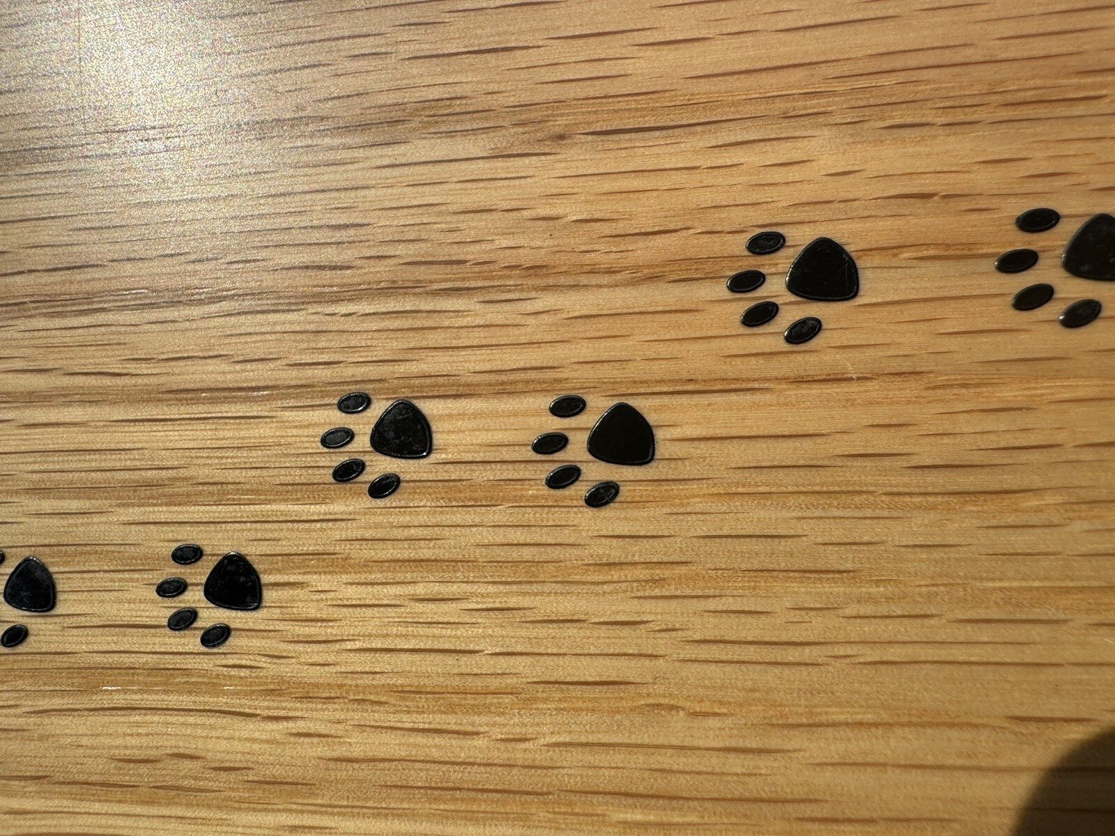 Lg Pet Cremation Urn Inlay Paw Print Wood Box Cat Dog Ashes Memorial Chest 10”