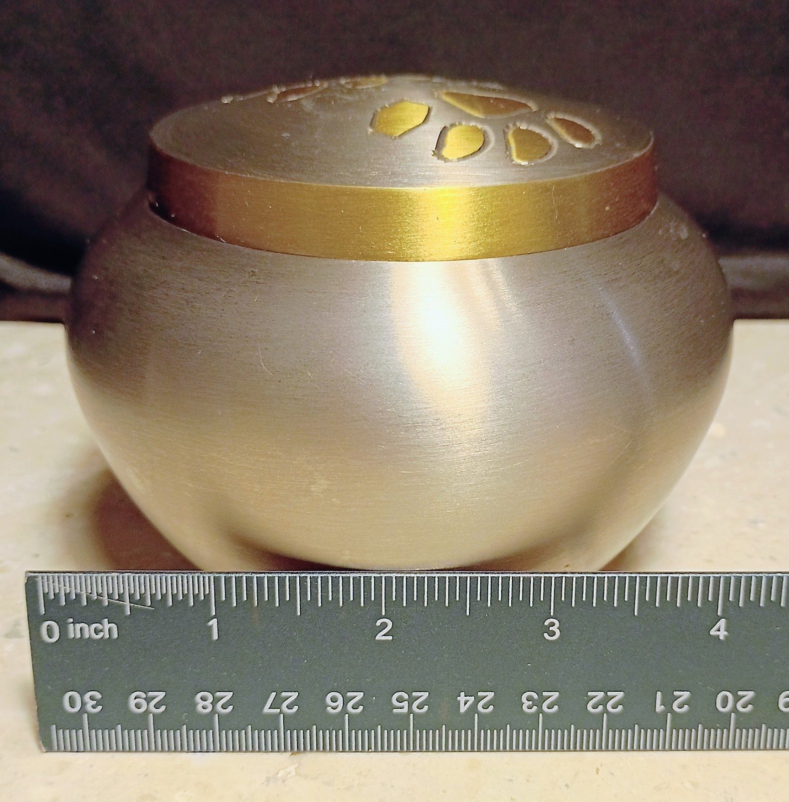Steel & Brass Pawprint Design Pet Ashes Urn – Small, Heavy, Secure, Beautiful