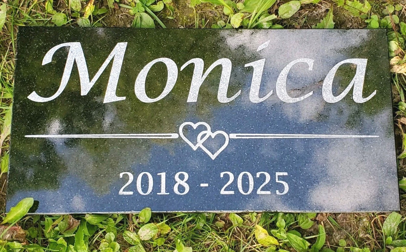 Personalized Pet Memorial Stone – Custom Engraved Tribute for Dog Cat Loss t13