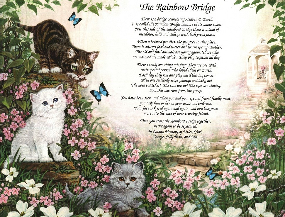 “The Rainbow Bridge” Personalized Pet Memorial Poem For Loss of a Beloved Cat