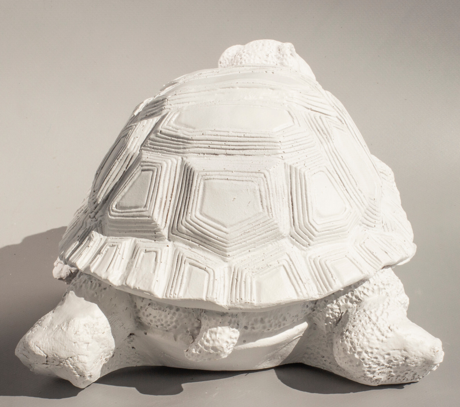 Unpainted Urn Turtle Ashes Pet Memorial Sculpture Animal Grave Ornament Tortoise