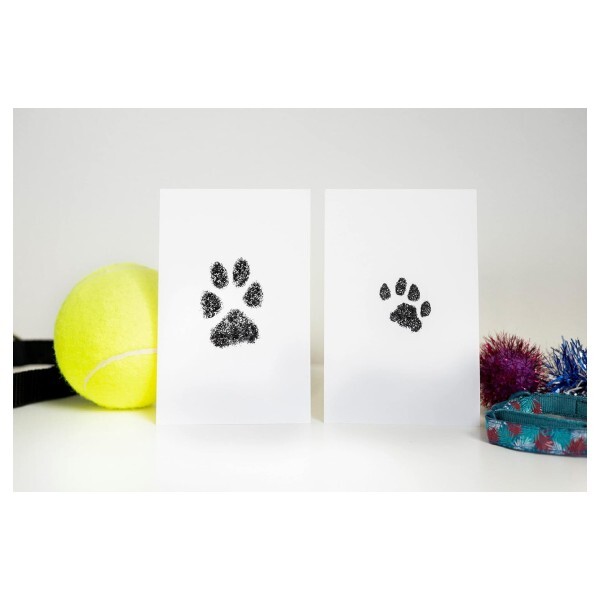 Clean Touch Ink Pad Paw Print For Pet Dog Cat Scrapbooks Imprint Card Making Kit