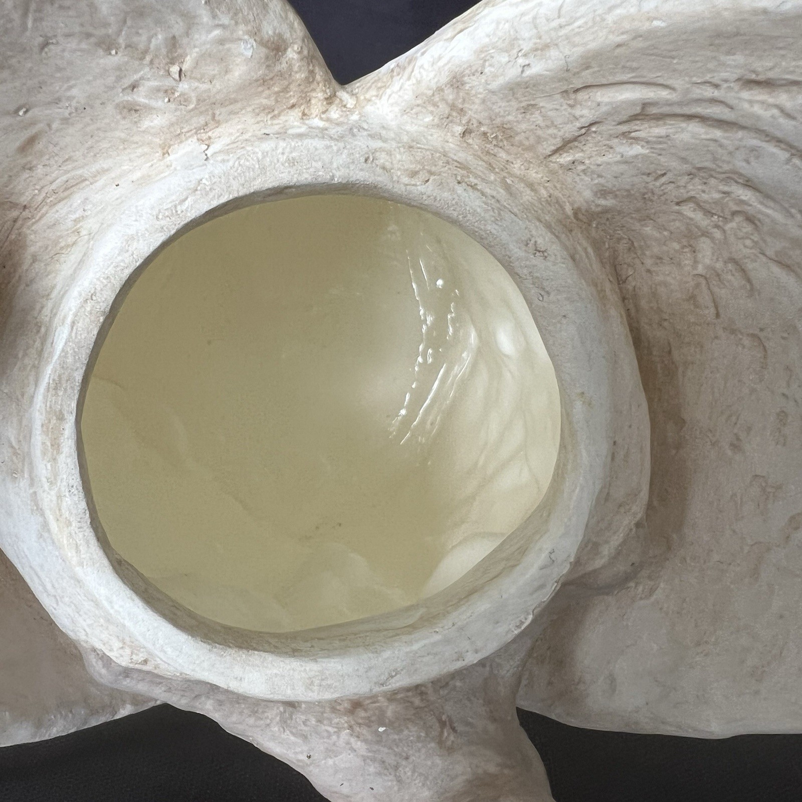 Angel Dog Urn For Cremation Ashes Statue Pet Memorial Figurine Handmade NEW