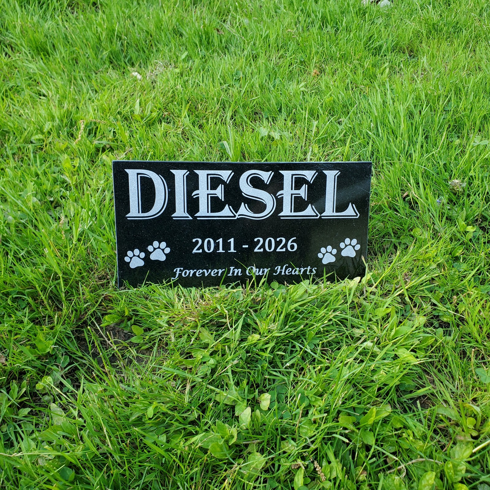 Grave Marker Headstone Garden Pet Loss Memorial Burial Stone Granite Plaque t24
