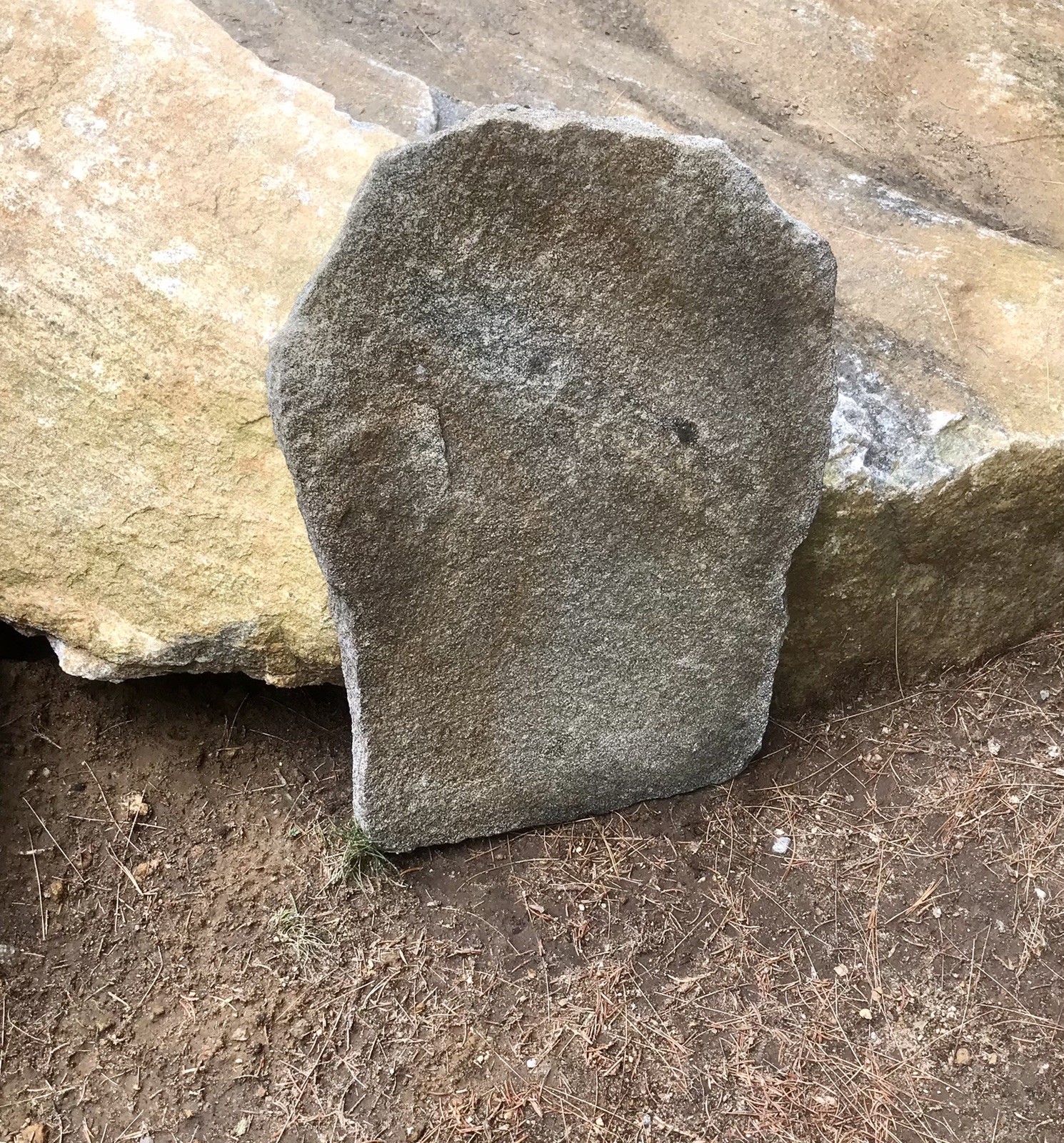 Natural Quartz Granite Stone Grave Marker Headstone Garden Pet Memorial Burial