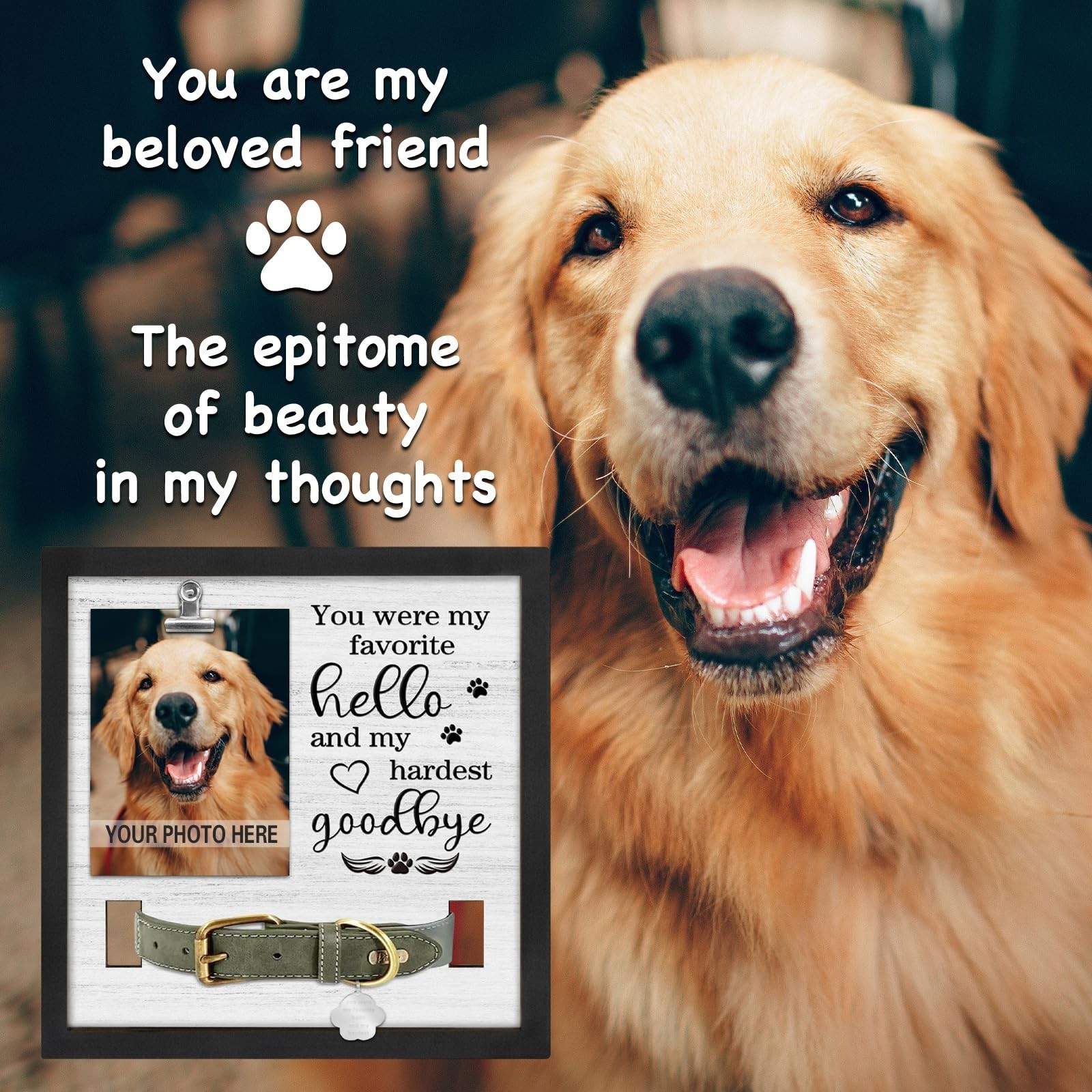 Dog Memorial Gifts for Pet Loss, Sympathy Frame with Collar Holder, Cat Remembra