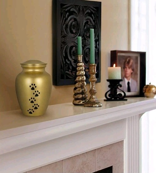 Trupoint Memorials Small Pet Urn for Dogs and Cats Ashes, Paws Print Gold Color