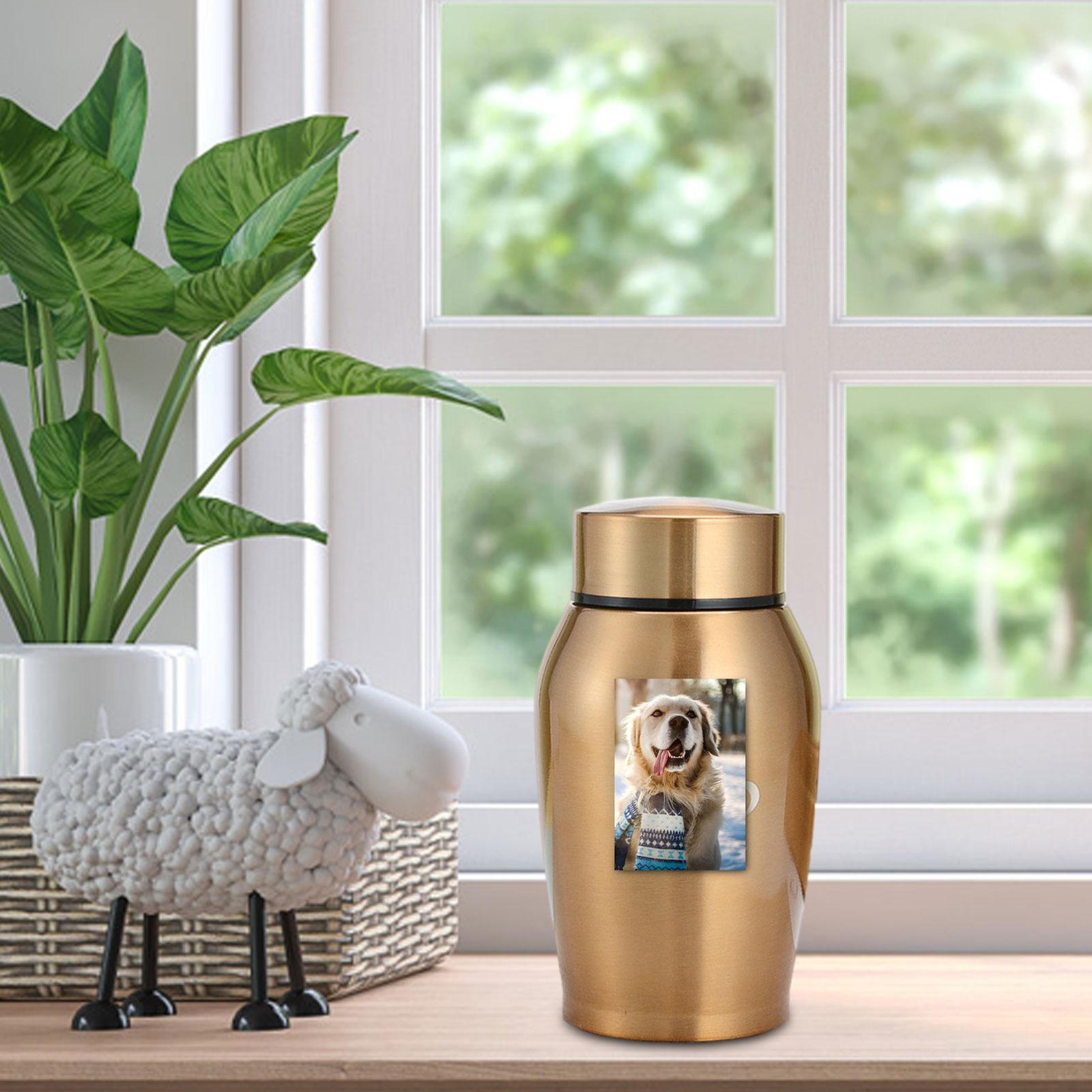 Small Cremation Urn Jar Holder Keepsake for Human Pet Ashes Memorial Funeral Box