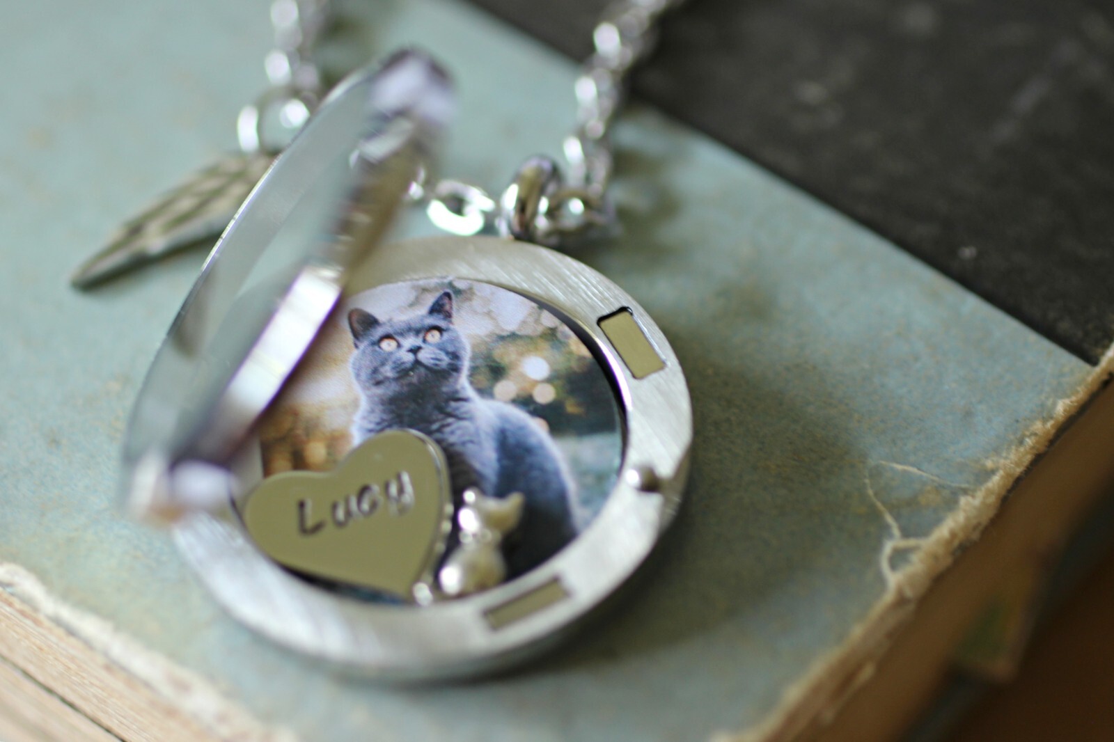 Cat Memorial Necklace, Locket Necklace with A Photo, Cat Fur Keepsake Locket