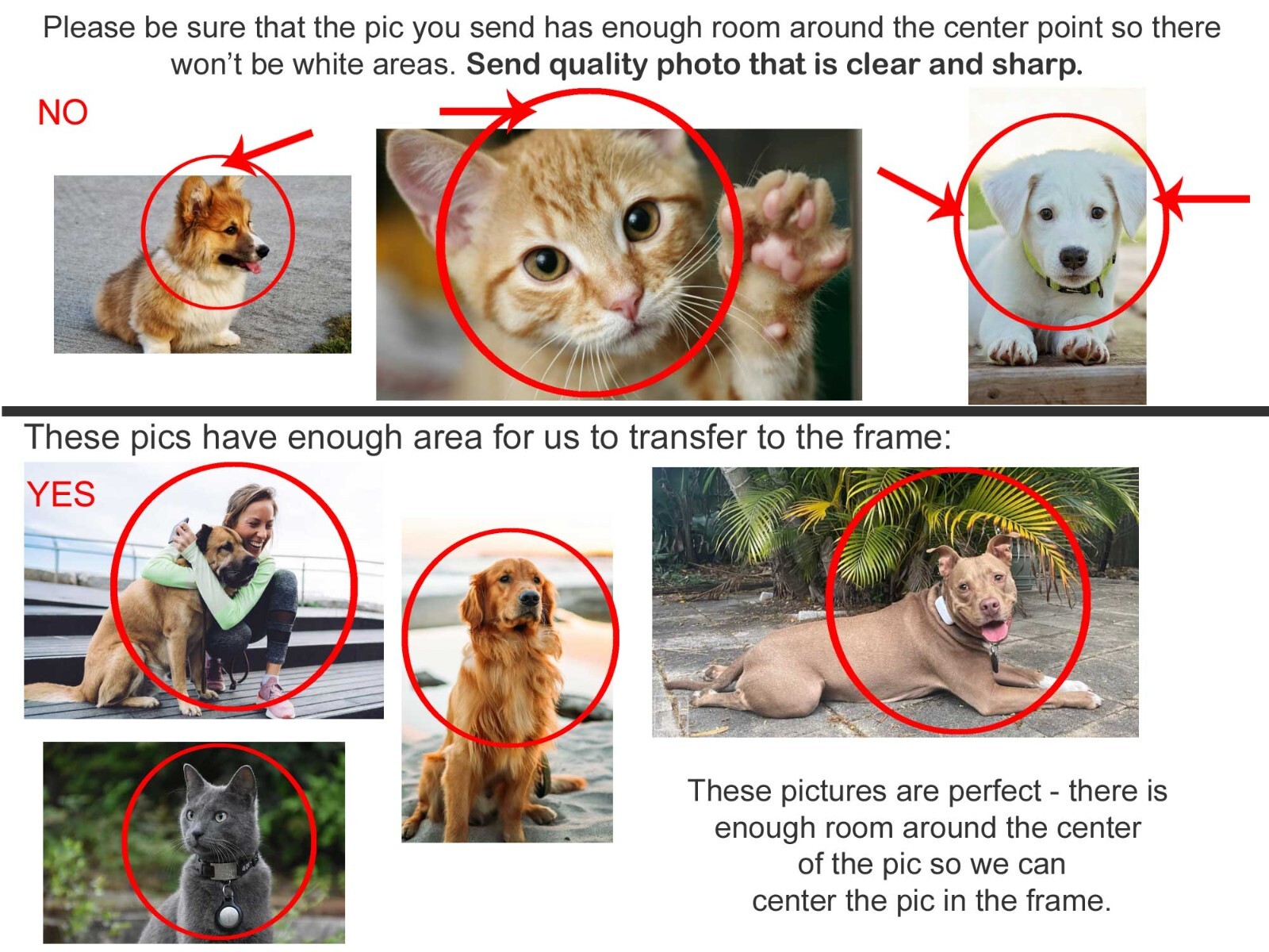 Custom Pet Urn, Engraved Photo Plate, Large or Small Pet Urn, Picture Pet Urn