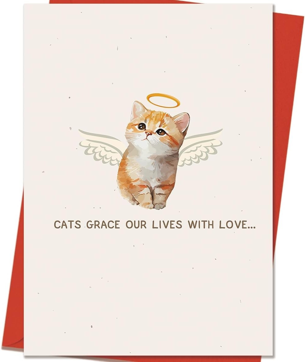 Heartfelt Cat Loss Sympathy Card with Envelope – Comforting Bereavement Message